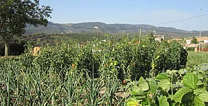 Casa Rural Lazkano 0030