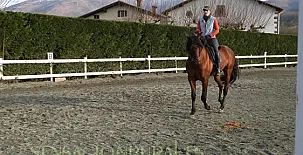 Casa Barrantxea I Y II 0014