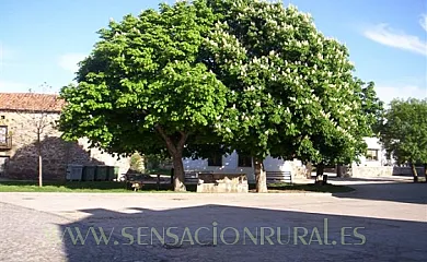 El Balcón de Tera en Tera (Soria) - Foto 11