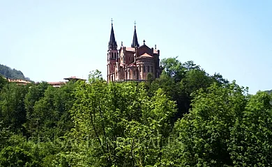 Apartamentos Huerta Carúa en Piloña (Asturias) - Foto 13