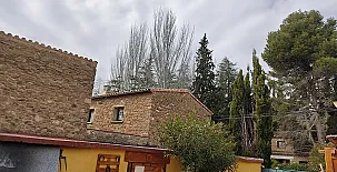 El Pinar de Bardena 0021