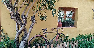 El Pinar de Bardena 004