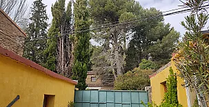 El Pinar de Bardena 0039