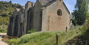 El Pinar de Bardena 0041