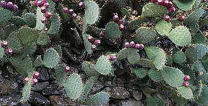 La Posada del Tiétar 005