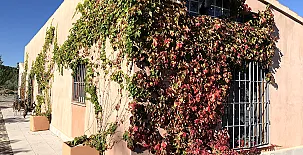 Alojamiento Rural Cañada del Pino 006