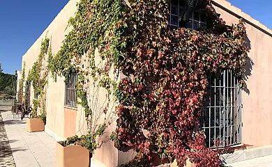 Alojamiento Rural Cañada del Pino en Bullas (Murcia) - Foto 6