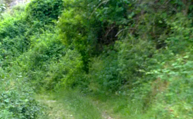 La Taba en Garganchón (Burgos) - Foto 25