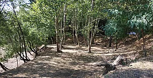 Mas Can Puig de Fuirosos 0019