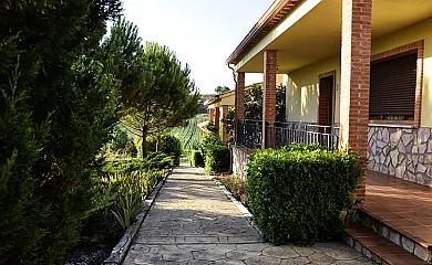 Los Clásicos de Cuenca en Ribatajadilla (Cuenca) - Foto 3