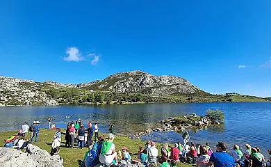 Apartamentos La Teyera en Cangas de Onis (Asturias) - Foto 11