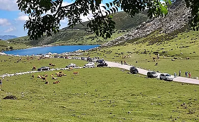 Apartamentos La Teyera en Cangas de Onis (Asturias) - Foto 12