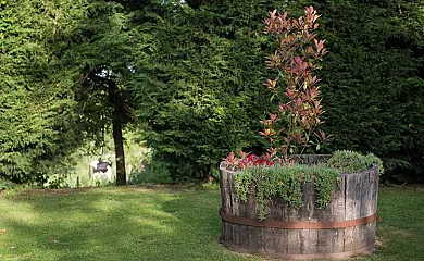 Casa do Neto en Chantada (Lugo) - Foto 2