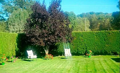 La Gavia en La Calzada de Béjar (Salamanca) - Foto 8