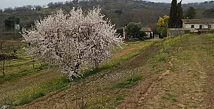 Casa Rural La Vallejera 0029