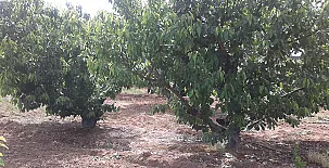 Casa Rural La Vallejera 0031