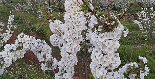 Casa Rural La Vallejera 0033