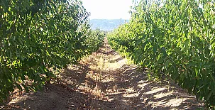 Casa Rural La Vallejera 0034