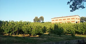 Casa Rural La Vallejera 0036