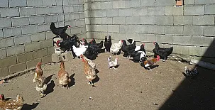 Casa Rural La Vallejera 0037