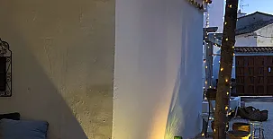 El Olivar del Gato 009