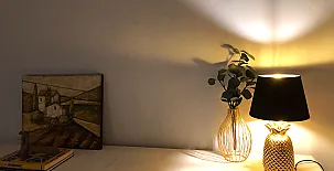 El Olivar del Gato 0015