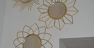 El Olivar del Gato 0026