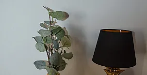 El Olivar del Gato 0032