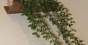 El Olivar del Gato 0048