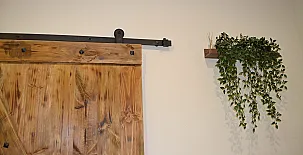 El Olivar del Gato 0050