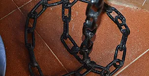 El Olivar del Gato 0061