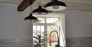 El Olivar del Gato 0066