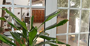 El Olivar del Gato 0068