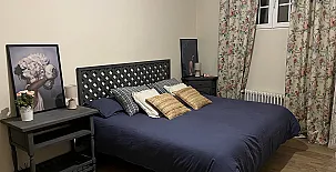 El Olivar del Gato 0081