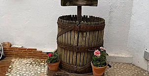 El Olivar del Gato 0082