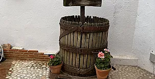 El Olivar del Gato 0085