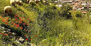 Casa Rural Abuelo Joaquín 0020