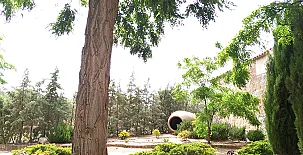 Cortijo del Rincón 0026