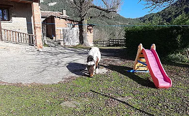 Mas Pujol en Campdevànol (Girona) - Foto 5