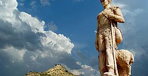 El Pinar de Bardena 0044