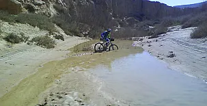 El Pinar de Bardena 0047