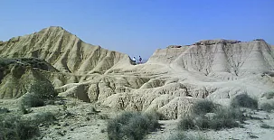 El Pinar de Bardena 0048