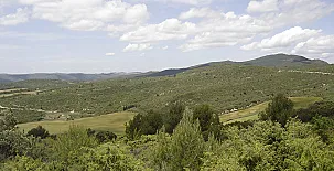 El Pinar de Bardena 0050