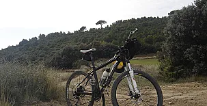 El Pinar de Bardena 0052