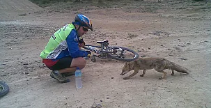 El Pinar de Bardena 0056