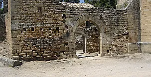 El Pinar de Bardena 0060