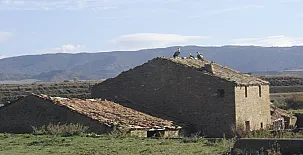 El Pinar de Bardena 0062