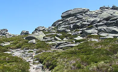 La Esperilla de Gredos en Barajas (Ávila) - Foto 19