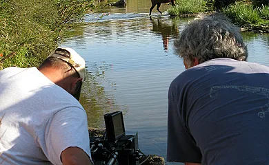 FINCA LOS LLANOS en Atalaya (Badajoz) - Foto 12