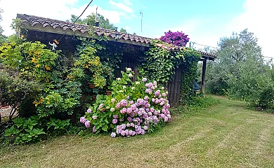 Finca La Zulema en Aracena (Huelva) - Foto 21